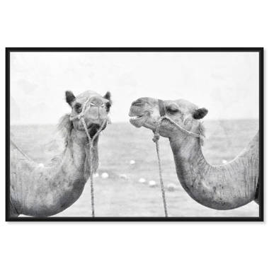 Oliver Gal Realistic Realistic Desert Animals Camels Photography